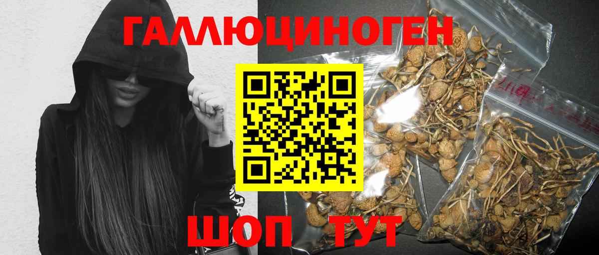где продают наркотики  Галлюциногенные грибы MAGIC MUSHROOMS  Галлюциногенные грибы мухоморы  Вход с VPN  Долгопрудный 