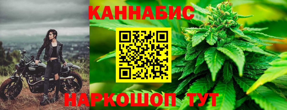 Конопля AK-47  Шишки марихуана AK-47  Конопля план  Конопля сатива  Вход с VPN  Долгопрудный 